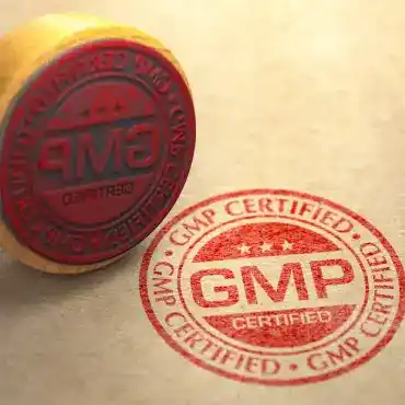 GMP Approvals