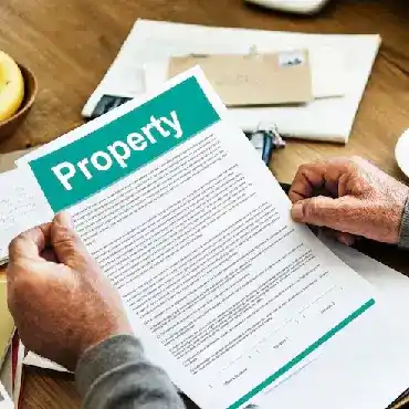 Real Estate Approvals